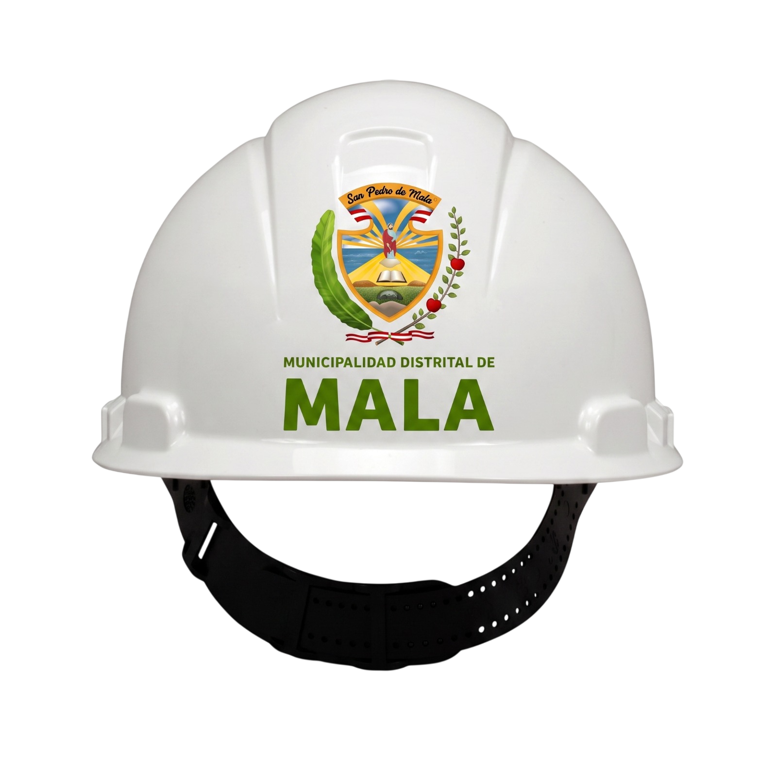 Logotipo de Municipalidad Distrital de Mala